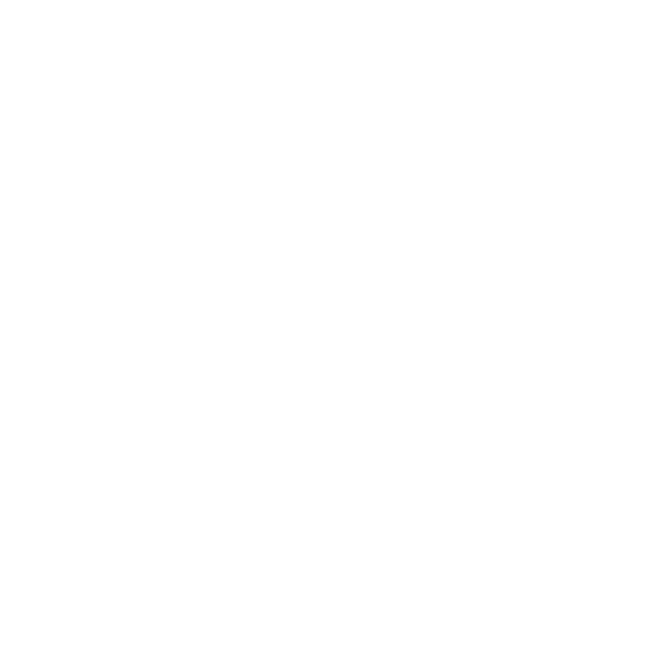 Artist